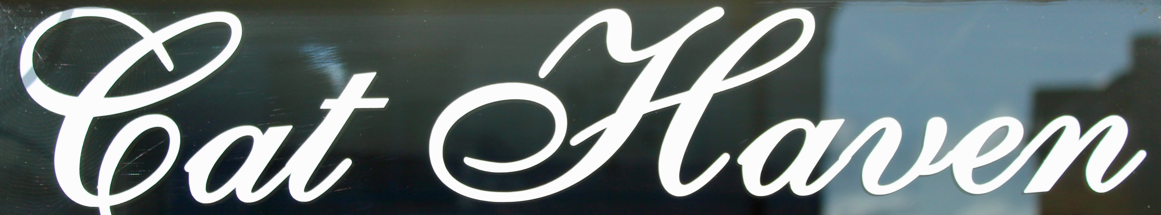 Cat Haven Luxury Boarding Cattery