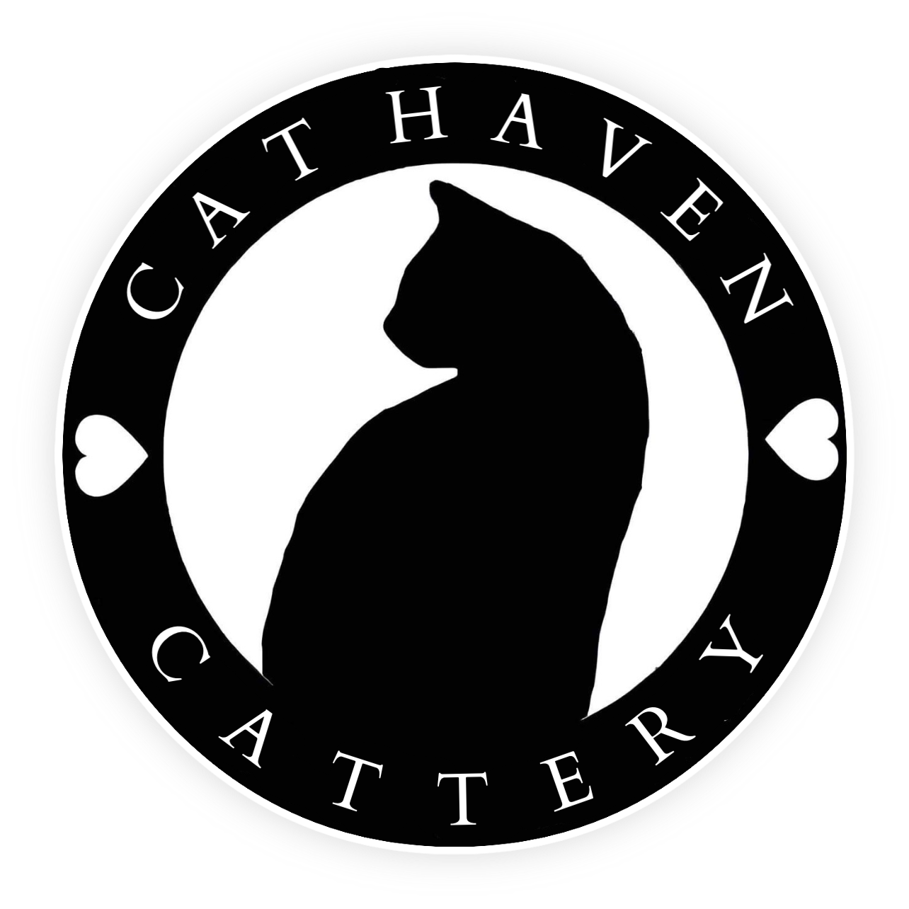 Cat Haven Luxury Boarding Cattery